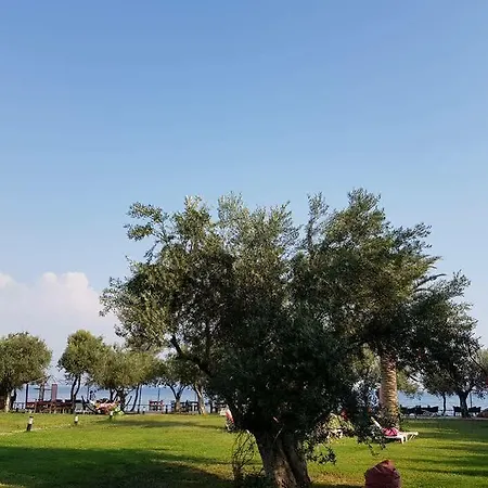 The