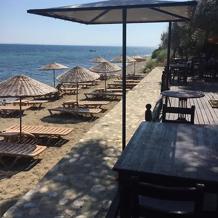 The 5* Edremit (Balikesir)